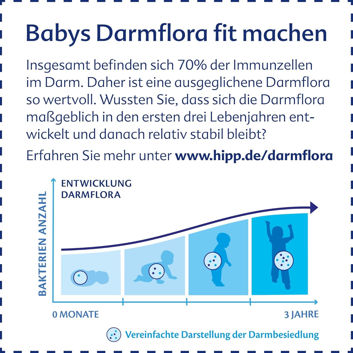 HiPP 3 Bio Combiotik (4 x 600g), Folgemilch ab 10 Monaten, mit natürlichen Milchsäurekulturen, Vitamin C und D, GOS, Omega-3 (DHA, ALA), in bester Bio-Qualität