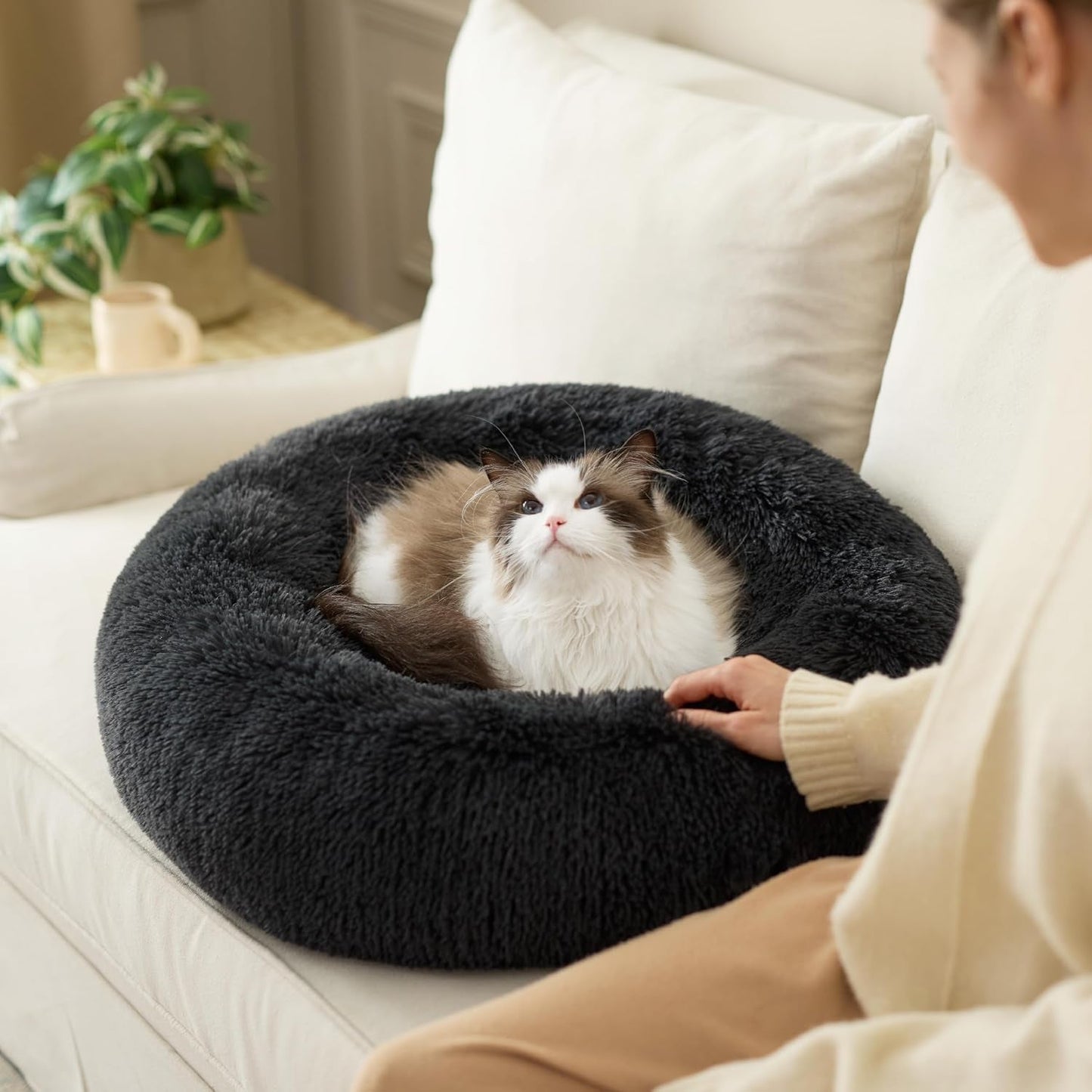 Betten und Sofas, Decken und Möbel, Haustiere, Katzen, Betten für Katzen, Katzenbetten, Matratzen