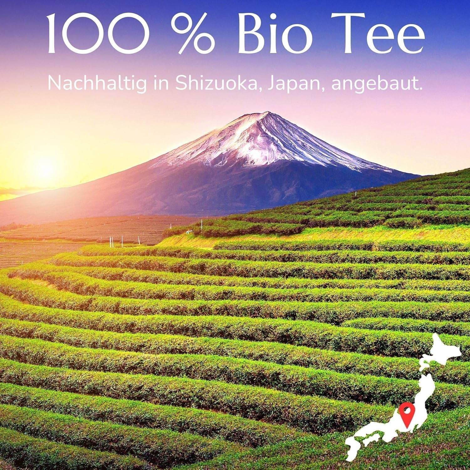 Anna'S Teekanne Sencha Bio-Grüntee-Beutel – Japanischer Bio-Grüntee 20 Pyramidenbeutel in einem wiederverschließbaren Beutel