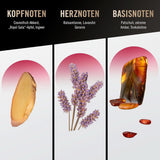Bruno Banani Loyal Man 3 in 1 Duschgel für Körper, Haare und Gesicht, Männer, 250 ml Dusche und Bad Naty Shop