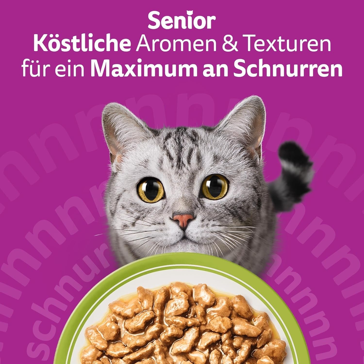 Whiskas Senior 7+ Nassfutter Gemischte Auswahl in Soße, 48 Beutel, 12x85g (4er Pack) – Hochwertiges Nassfutter für Katzen ab 7 Jahren
