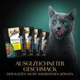 SHEBA Nature's Collection in Gravy – Hochwertiges Nassfutter für Katzen, feine Sorte (MSC) in Portionsbeuteln – 72 x 85 g