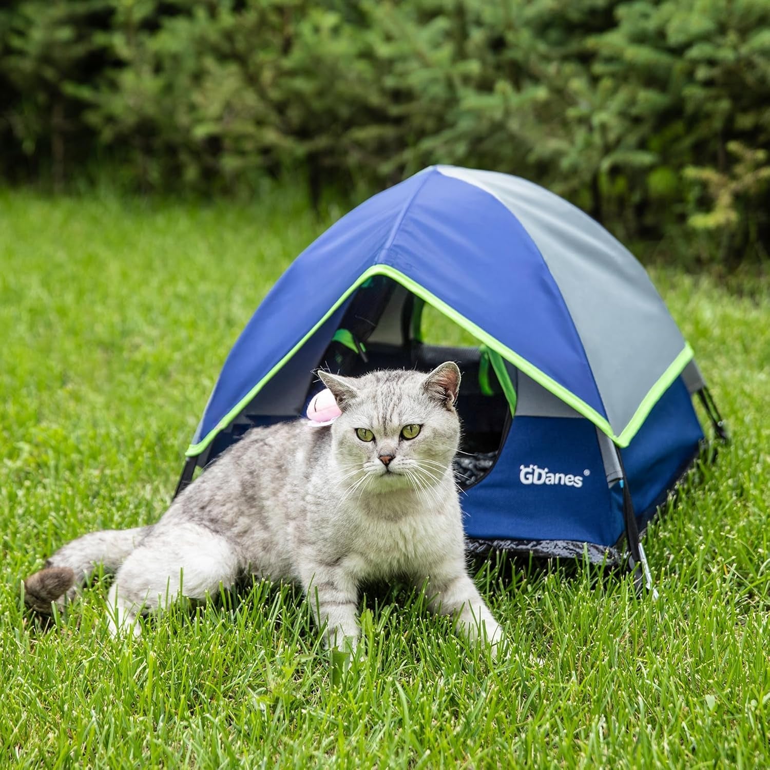Decken und Möbel, Haustiere, Höhlen und Häuser, Katzen, Betten für Katzen, Katzenbetten, Matratzen