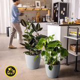 LECHUZA Blumentopf Classico Color ECO 35 Hellgrau mit Bewässerungssystem und Wasserstandsanzeige | Hergestellt aus 100 % recyceltem Kunststoff | Mattes Finish | Ø 34,5 x 32,5 cm | 18930
