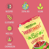 Bio-Gefriergetrocknete Erdbeeren: 70 g getrocknete Erdbeeren für Smoothie-Bowls, Müsli, Porridge-Toppings – gefriergetrocknete Beeren ohne Zuckerzusatz – gefriergetrocknete Erdbeeren – NutriPur-Früchte. Dehydrierte Produkte Naty Shop