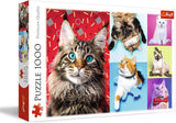 Puzzle - "1000" - Porträts lustiger Hunde Puzzle Naty Shop Lustige Katzen