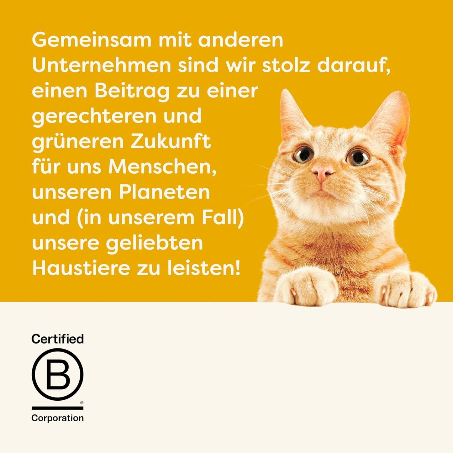 Applaws Cremiger, getreidefreier Hühnersnack für Katzen und Kätzchen, 32 Beutel x 15 g