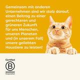 Applaws Cremiger, getreidefreier Hühnersnack für Katzen und Kätzchen, 32 Beutel x 15 g