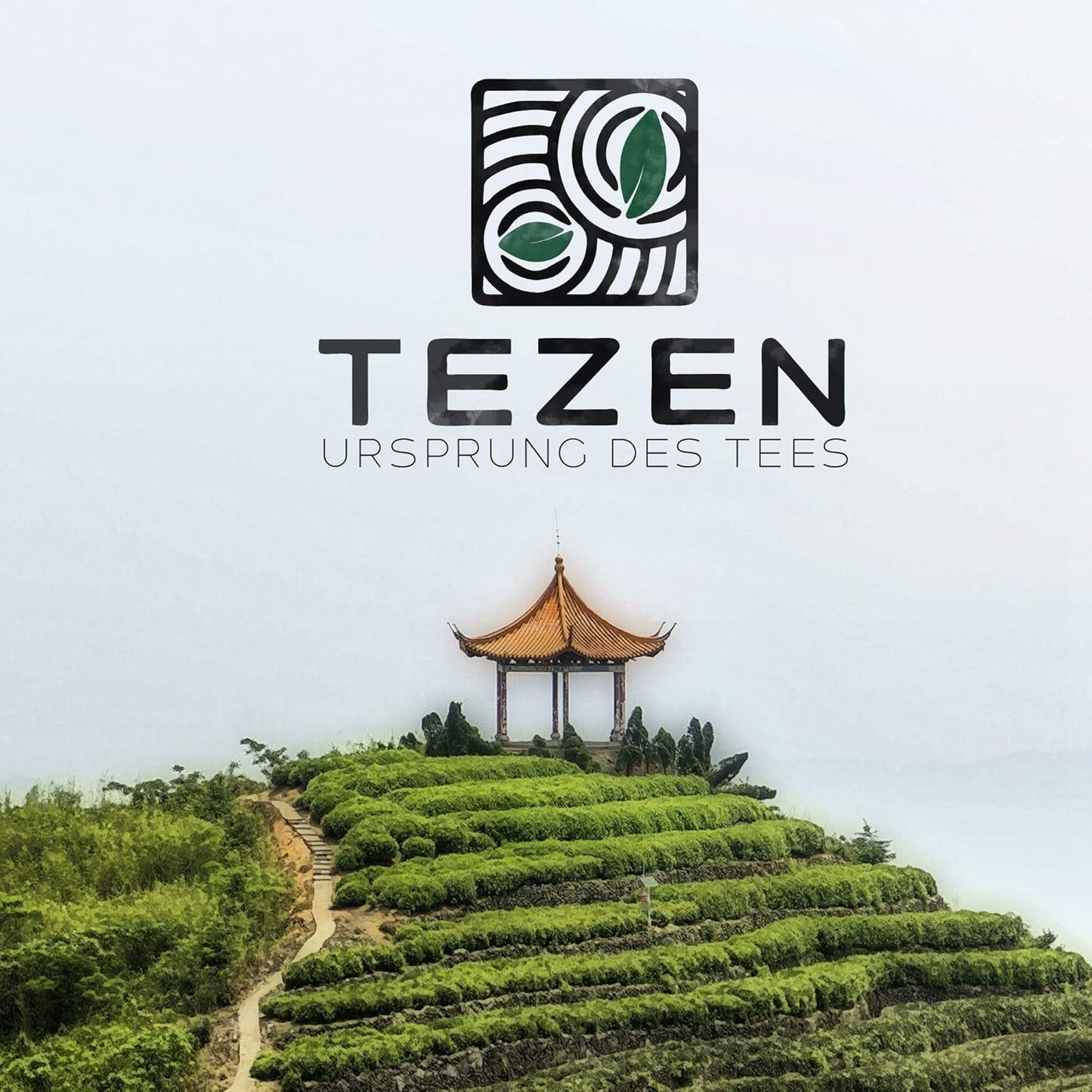 Oolong-Milchtee aus Alishan, Taiwan | Jin Xuan Milchiger Oolong, hochwertig, 100 % natürlich, geschmacksneutral (100 g)