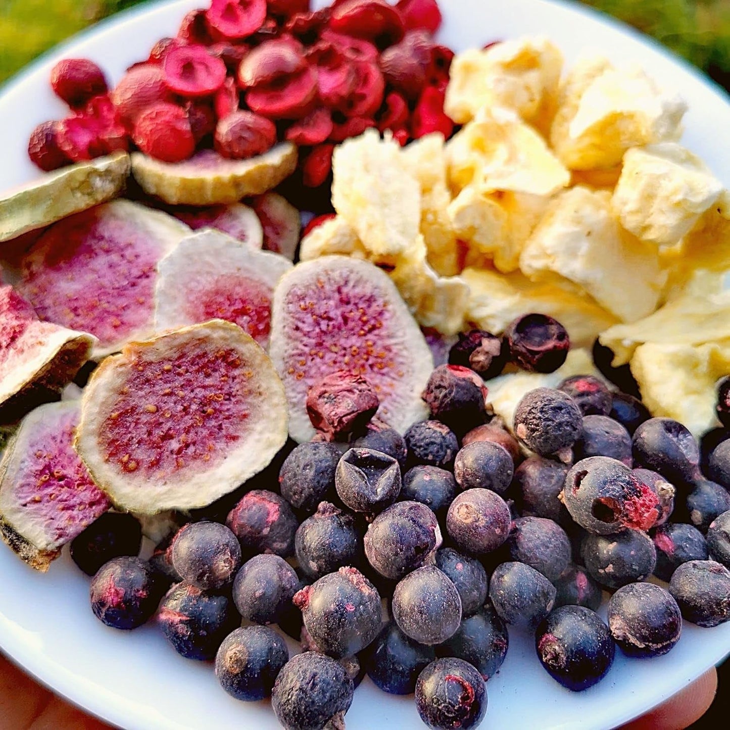 Gefriergetrocknete schwarze Johannisbeeren | 100 % natürliche getrocknete Johannisbeeren | Ohne Zuckerzusatz. Gesunde gefriergetrocknete Süßigkeiten | Gefriergetrocknete Früchte Gefriergetrocknete Früchte Dehydrierte Produkte Naty Shop