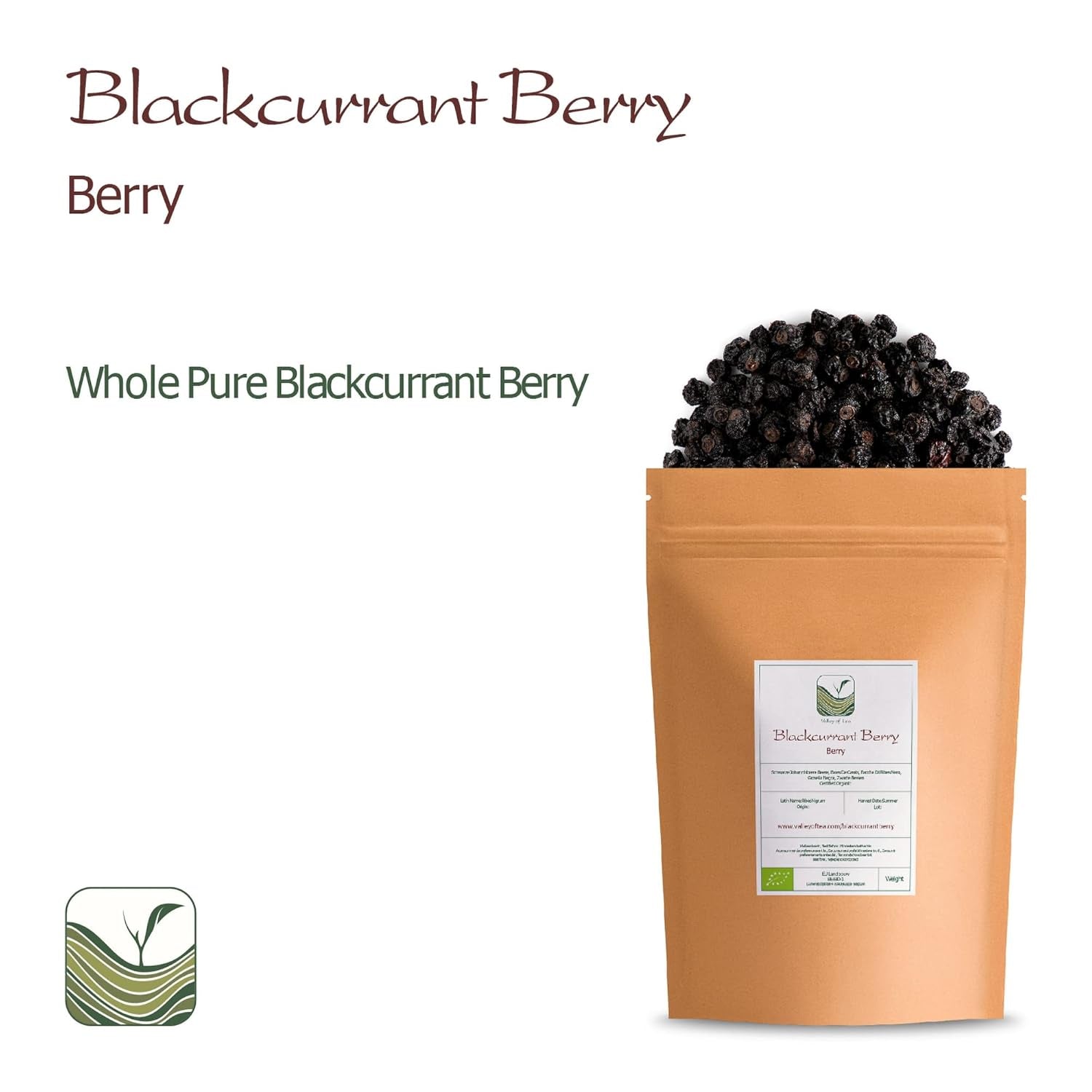 Bio ungesüßte schwarze Johannisbeeren – Getrocknete Johannisbeeren Fruchtige Beeren – ideal zum Backen Johannisbeeren Himbeeren Tee Schwarze Johannisbeeren Getrocknete schwarze Johannisbeeren Dehydrierte Produkte Naty Shop