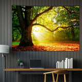 Teppich Wandteppich Wald Leinwand Baum Sonne Himmel Zuhause – Accessoires und Dekorationen Naty Shop 200 L x 150 B cm
