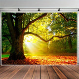 Teppich Wandteppich Wald Leinwand Baum Sonne Himmel Zuhause – Accessoires und Dekorationen Naty Shop