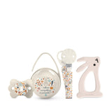 Suavinex-Geschenkset für Neugeborene. 4-teiliges Set bestehend aus: Physiologischer SX Pro-Schnuller für Babys von 0 bis 6 Monaten + Schnullerhalter + Duo-Schnullerhülle + Beißring aus Silikon. Wunderland, beige