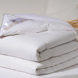 Platin, Gänsedaunen, 300 g/m², 240 x 220 cm, weiß (weiß) Bettdecken und Steppdecken Naty Shop Bianco 260 x 240 cm