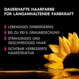 Garnier Olia 110 kühles Aschblond, ammoniakfreie permanente Haarfarbe mit nährenden natürlichen Ölen, vollständige Abdeckung, permanente Farbe für graues Haar, 1 Stück (2er-Pack), Naty Shop Haarfarbe