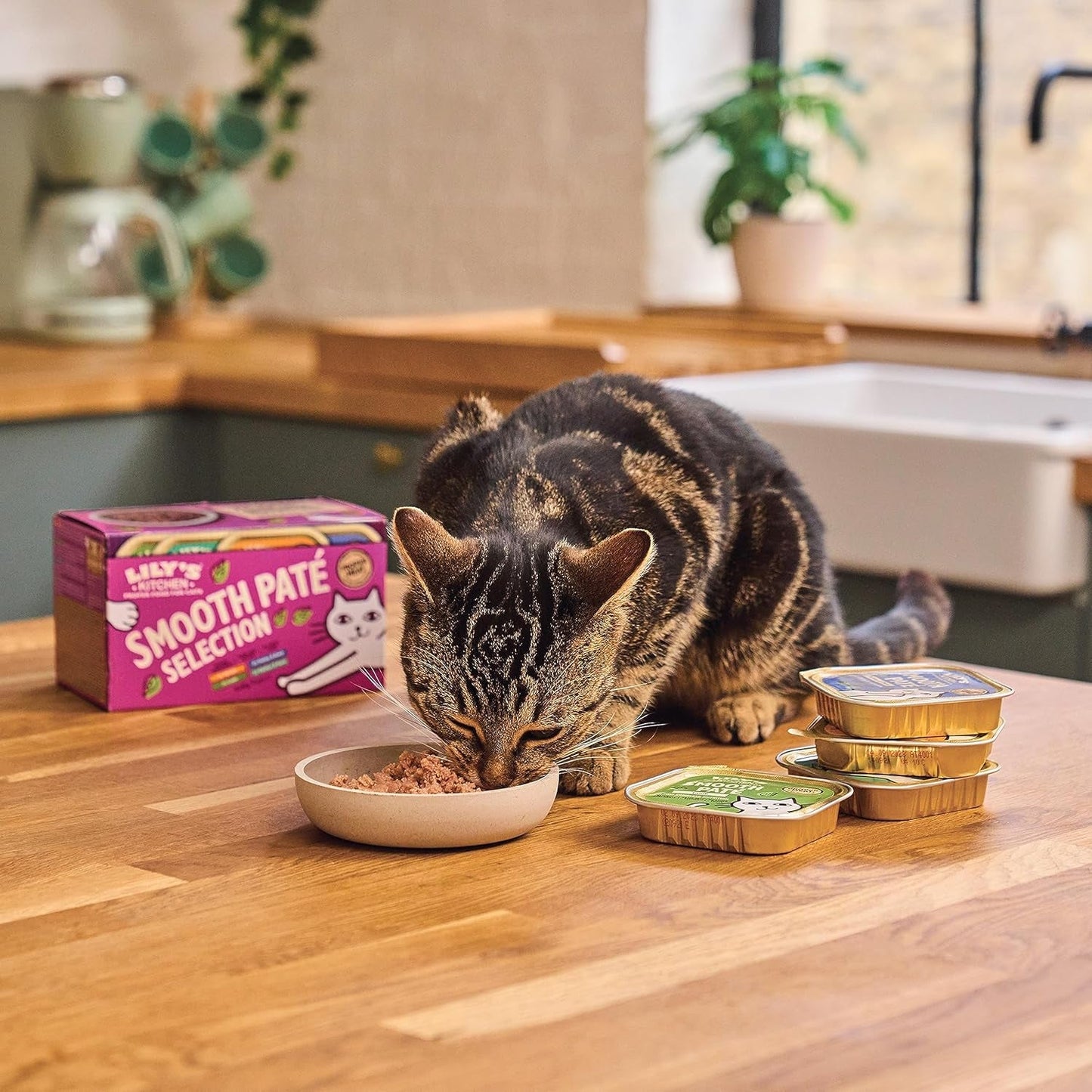 Lily's Kitchen Natürliches, feuchtes, zartes Katzenfutter für ausgewachsene Katzen, Schalen, getreidefreie Rezepte, Sortiment (32 Schalen x 85 g)