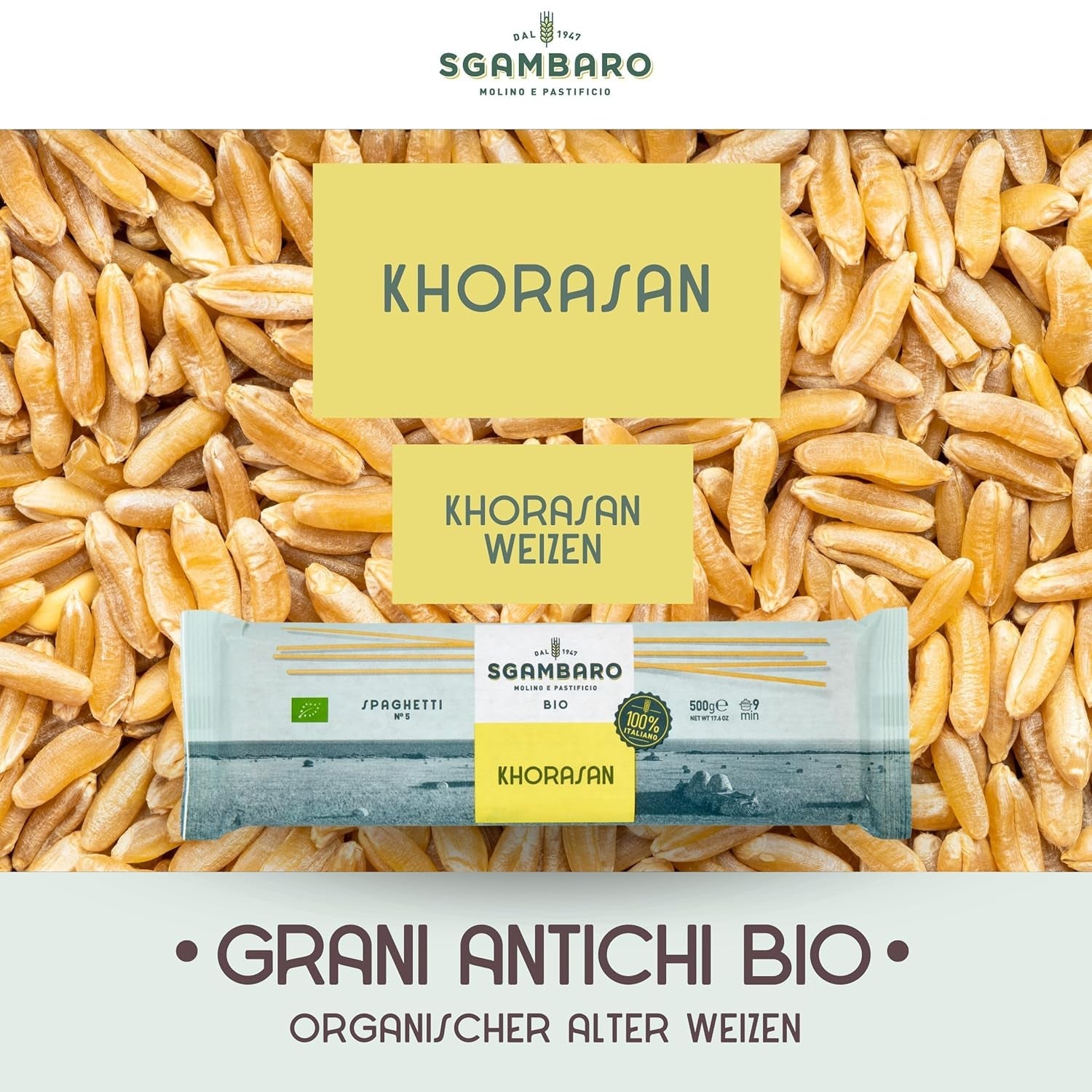 Bio-Spaghetti-Nudeln Nr. 5 - 500 g Khorasan-Weizen – uralter Weizen, reich an Proteinen, 100 % in Italien angebaut – vielseitig in der Küche und reich an Nährstoffen