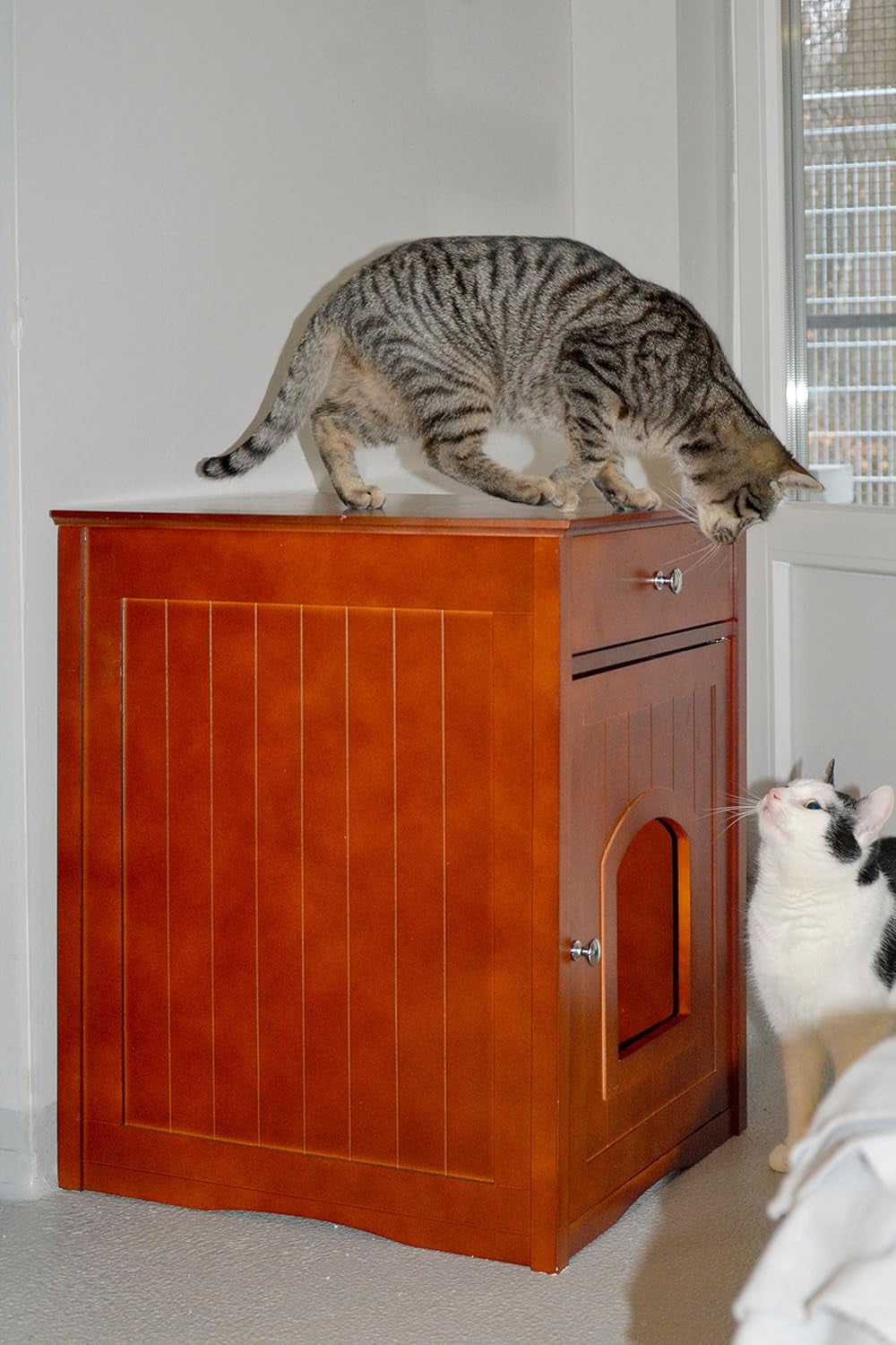 Decken und Möbel, Haustiere, Höhlen und Häuser, Katzen, Betten für Katzen, Katzenbetten, Matratzen