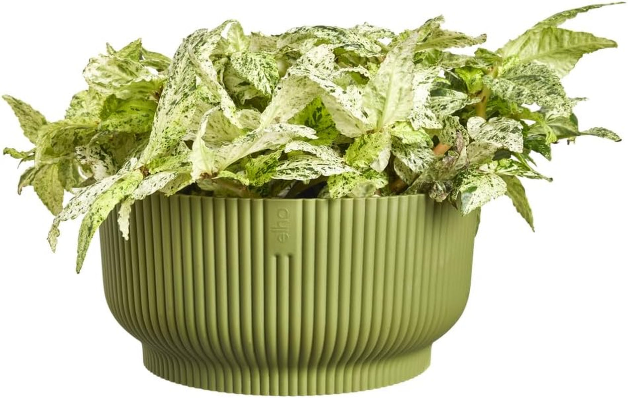 elho Vibes Fold Bowl 25 – Blumentöpfe für den Innenbereich – 100 % recycelter Kunststoff – Ø 24,9 x H 12,1 cm – Grün/Ferngrün