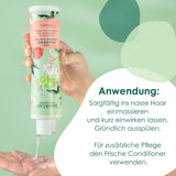 Jean & Len Green Tea & Lime Feuchtigkeitsshampoo, für normales bis fettiges Haar, 300 ml Dusche und Bad Jean & Len Green Tea & Lime