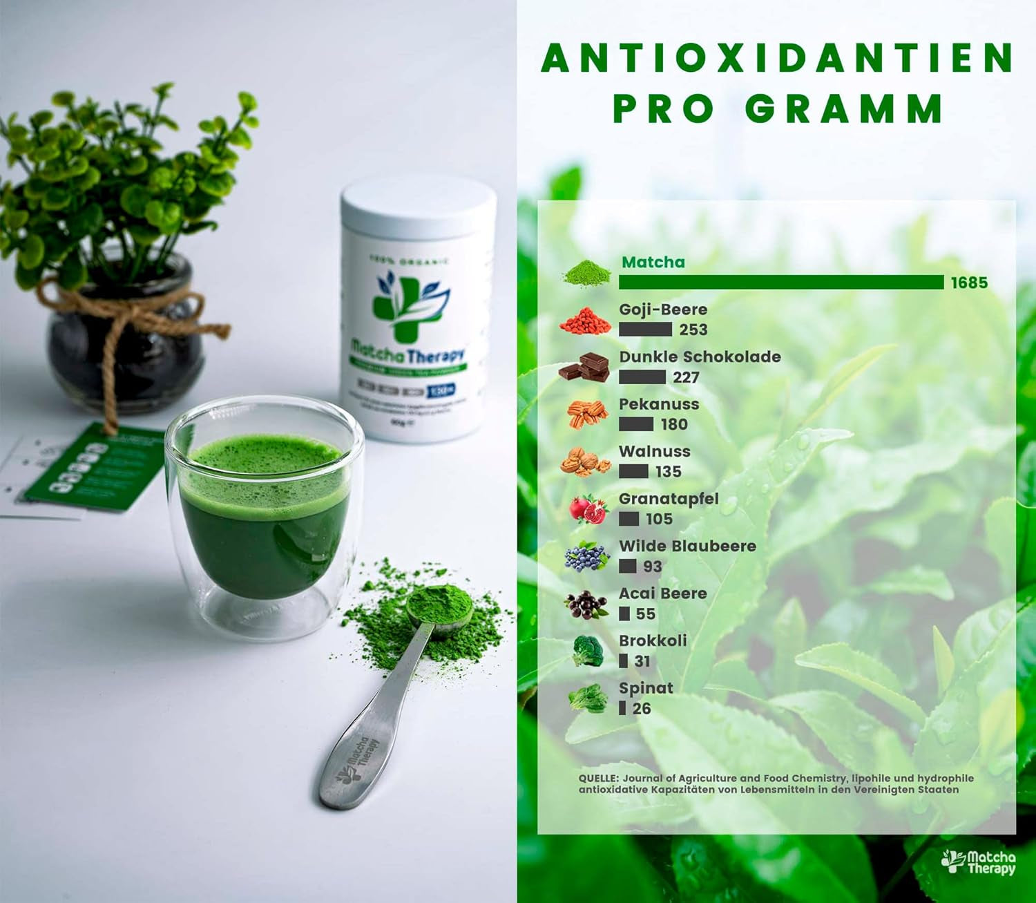 Matcha-Therapie 30+ | Bio-Matcha-Teepulver | 60 g | Mit einem nachgewiesenen Gehalt von mindestens 30 mg/g Catechin EGCG | Unterstützt das Immunsystem und das Energieniveau | Zeremonielle Qualität | Grüner Tee aus Japan