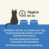 Applaws 100 % natürliches Nassfutter für ausgewachsene Katzen, verschiedene Fischsorten in Soße, Mehrfachpackung, 12 Boxen x 70 g