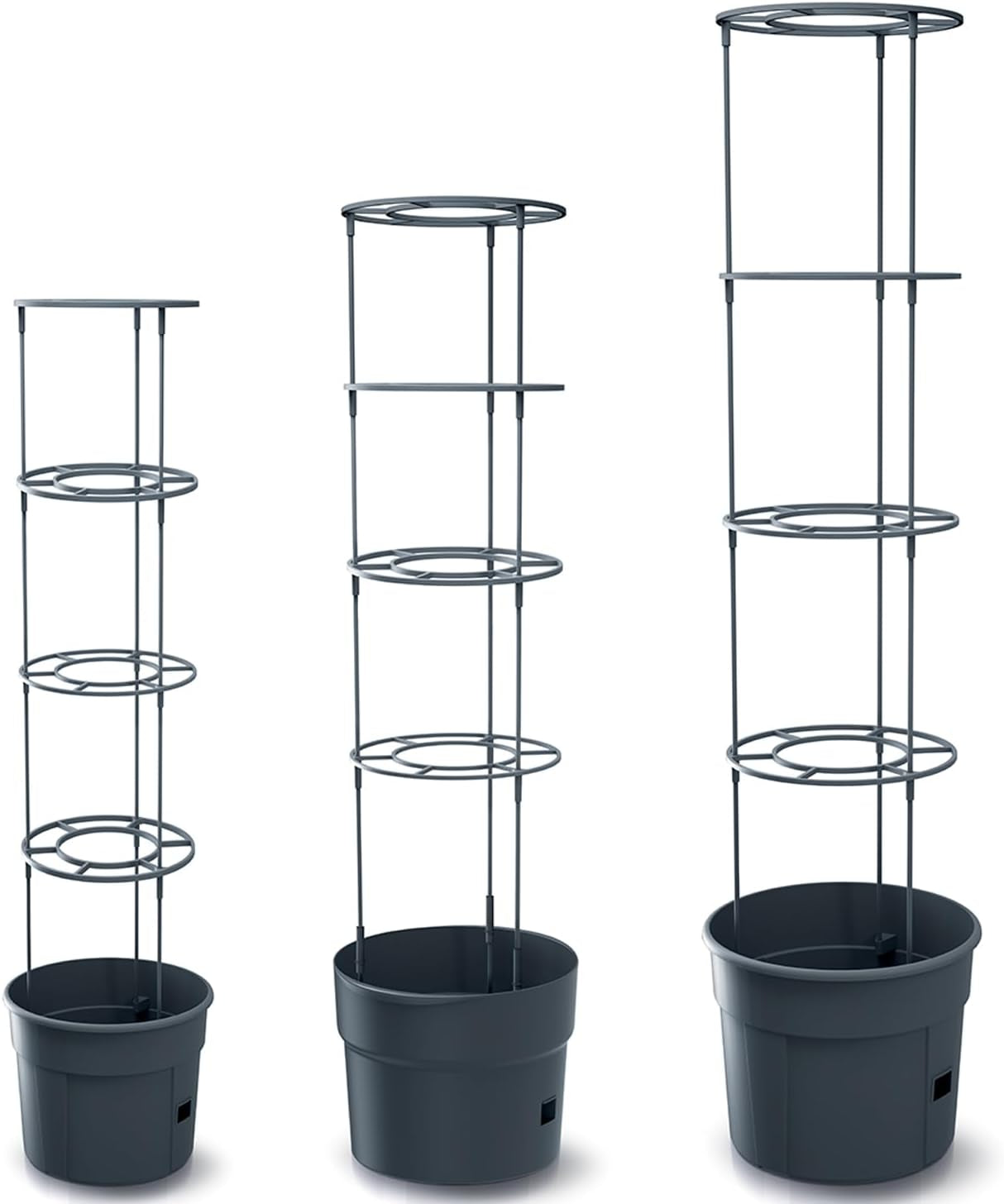 Prosperplast Tomatensämlingstöpfe mit Spalier – Stabiler Pflanzkasten aus Kunststoff | Anthrazit | Witterungs- und UV-beständig | 29,5 x 115,2 cm | Ideal für Garten und Terrasse