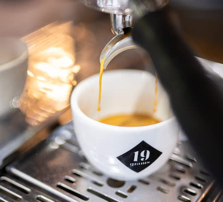 Wild At Heart Espresso | 250g Bohnengans fair & nachhaltig | frisch geröstet | 100 % Arabica-Kaffeebohnen | Spezialitätenkaffee | 19 Gramm Kaffeerösterei