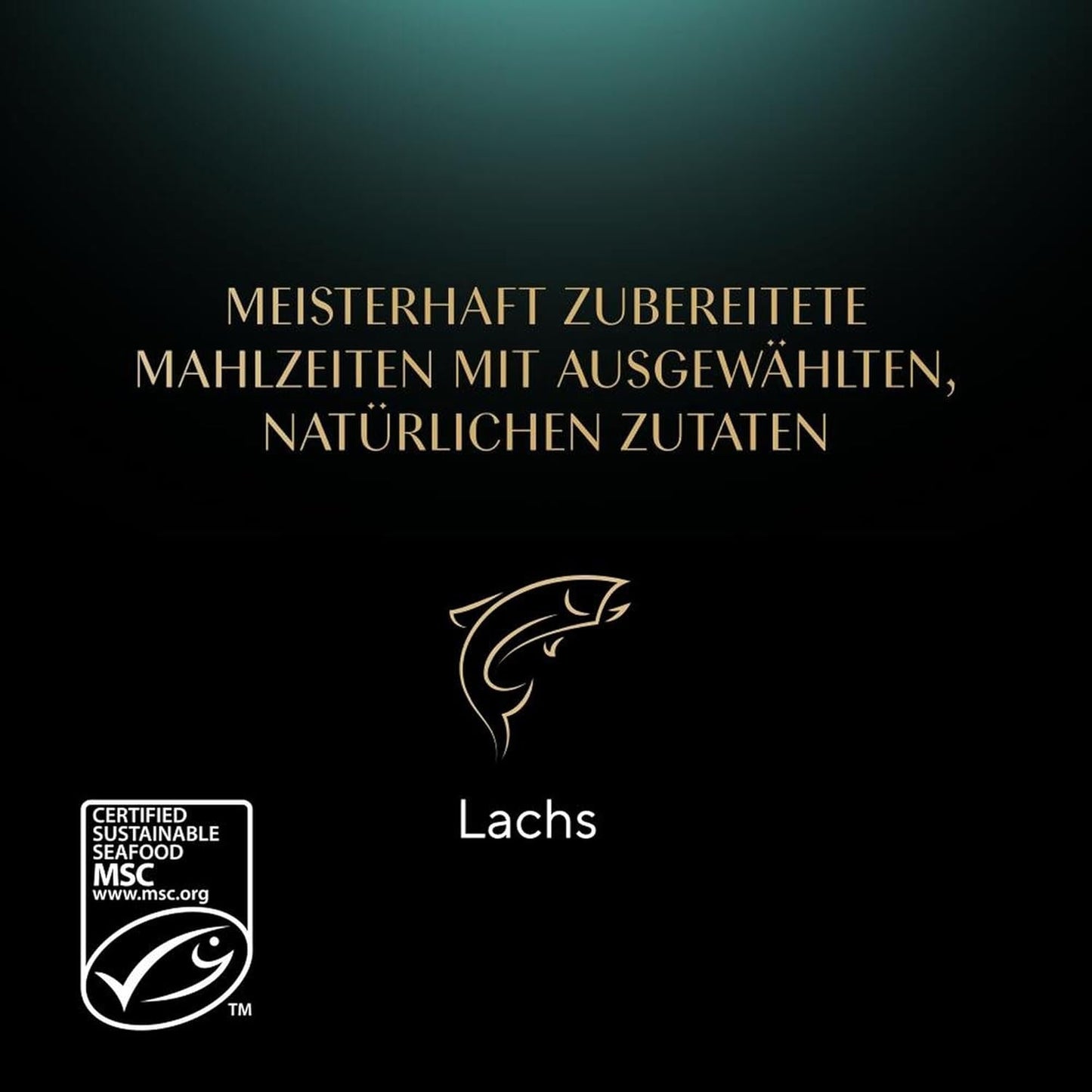 SHEBA Nassfutter für Katzen, Nature's Collection in Lachssauce, 2 x 11 x 85 g