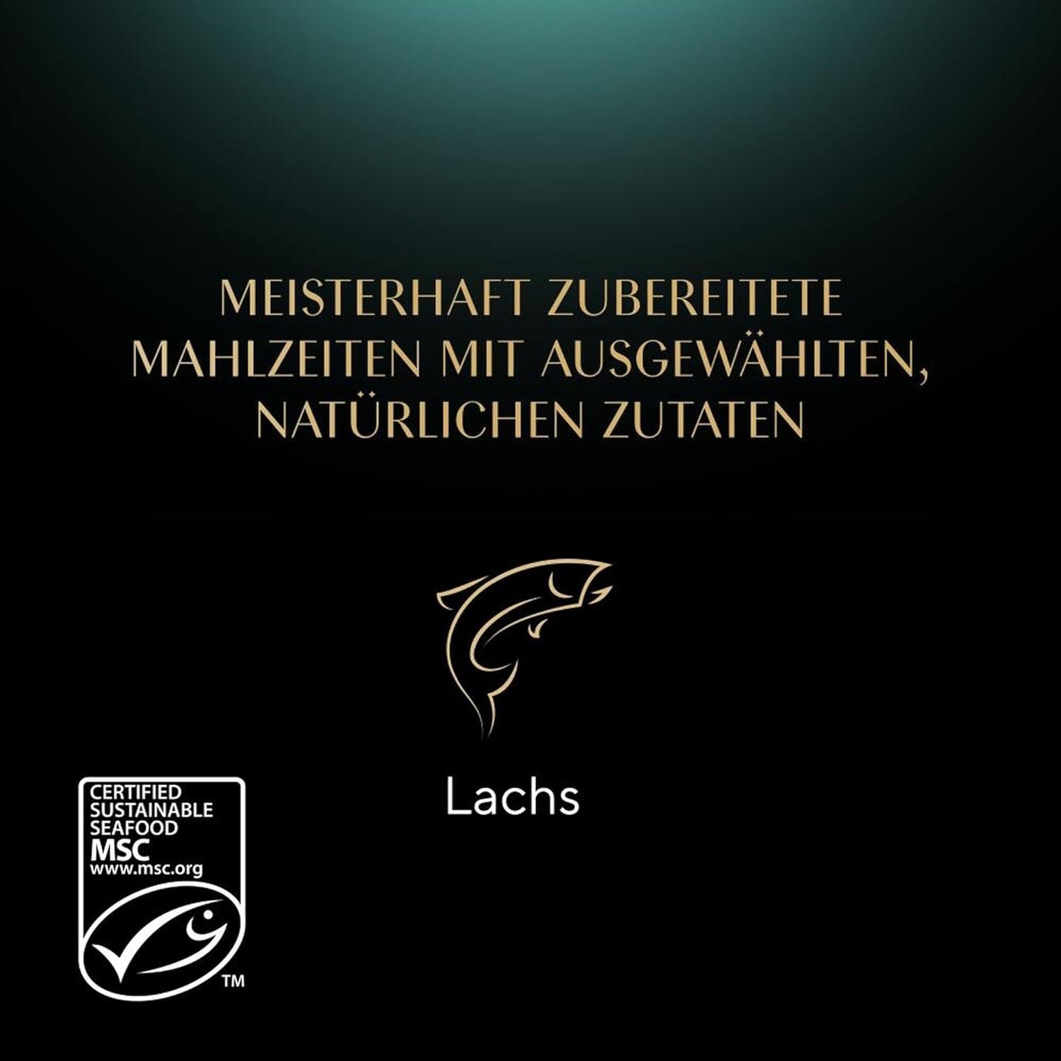 SHEBA Nassfutter für Katzen, Nature's Collection in Lachssauce, 2 x 11 x 85 g