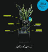 Pflanzgefäß LECHUZA Rondo Premium 32 Mattweiß | Pflanzsäule mit Bewässerungssystem, Wasserstandsanzeige und Pflanzeinsatz | Mattes Finish | Ø 32,5 x 56,5 cm | 15786