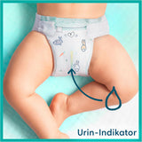 Pampers Babywindeln, Größe 2 (4–8 kg), Harmony, Half Moon Box, sanfter Hautschutz und pflanzliche Inhaltsstoffe, 240 Stück