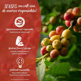 SENSEO Café corsé – 54 Dosen
