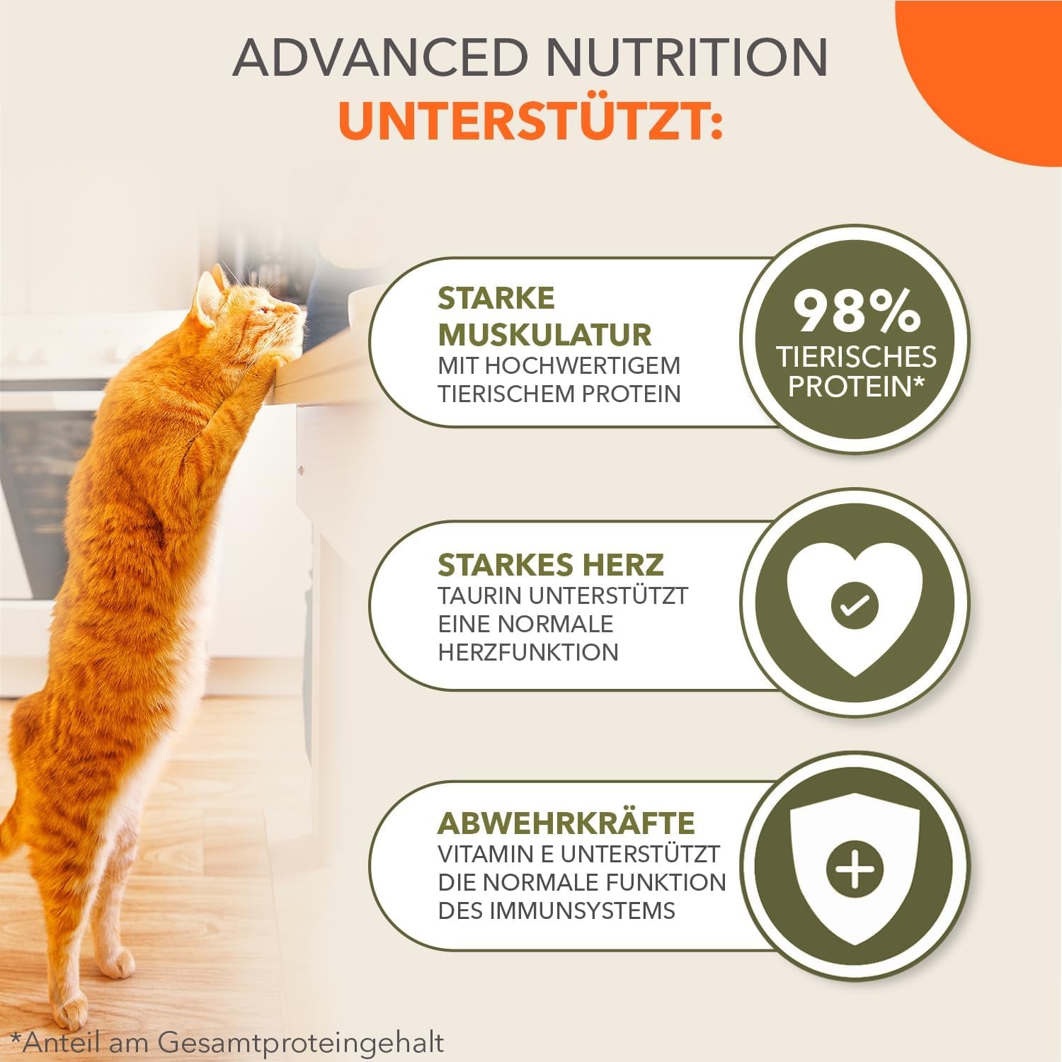 IAMS Delights Sea Collection Getreidefreies Nassfutter für Katzen – Multipack mit verschiedenen Fischsorten in Sauce, getreidefreies Nassfutter für Katzen ab 1 Jahr, 12 x 85 g