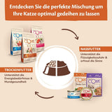 Wellness CORE Signature Selects 8 x 79 g, Hühner- und Truthahnmischung – Nassfutter für Katzen, köstliche Streifen in Soße, getreidefrei, natürlich, hypoallergen, proteinreich, reich an Fleisch