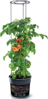 Prosperplast Tomatensämlingstöpfe mit Spalier – Stabiler Pflanzkasten aus Kunststoff | Anthrazit | Witterungs- und UV-beständig | 29,5 x 115,2 cm | Ideal für Garten und Terrasse