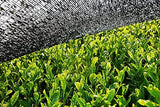 BIO Matcha-Pulver 100 g I Ohne Zusatzstoffe – 100 % natürlich I Hochwertiger japanischer Matcha-Tee I Grüntee-Pulver von