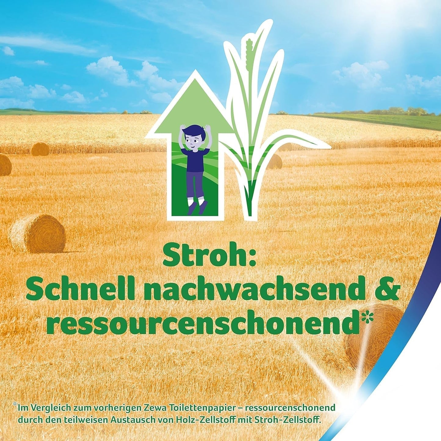 Zewa Proven – 48 Rollen – Das erste Toilettenpapier mit Strohanteil – 3 Schichten