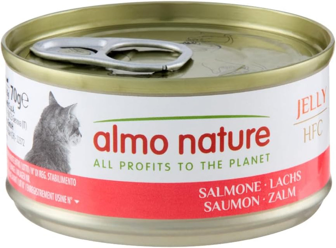 Almo Nature HFC Jelly – Nassfutter für ausgewachsene Katzen – Lachs – Human Grade, Glutenfrei & Monoprotein – 6 x 70 g