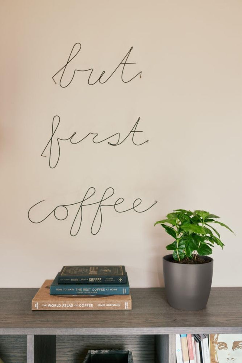 elho The Coffee Collection, runde Kanne für den Innenbereich, 18 cm, aus Kaffeesatz und recyceltem Kunststoff – Braun/Espressobraun