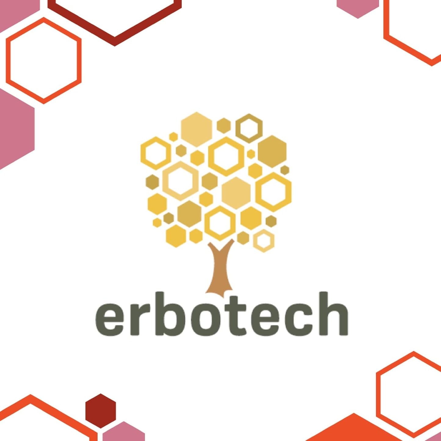 ERBOTECH Goji-Beeren 200 g, Goji-Beeren mit hohem Vitamingehalt, getrocknete Früchte ohne Zucker und Schwefel, natürliche Superfoods und reich an Energie, hergestellt in Italien. Dehydrierte Produkte Naty Shop