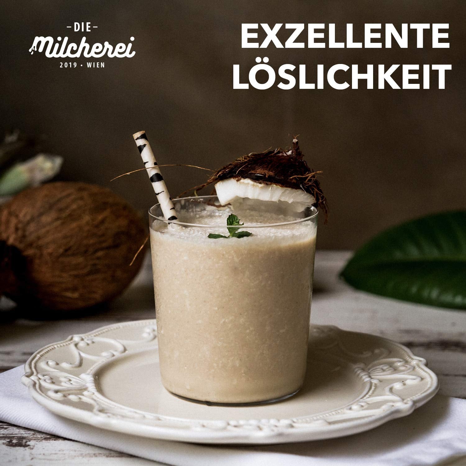 Kokos-Nuss-Milch-Pulver MILCHEREI Kokos-Shake Curry Thai 800g