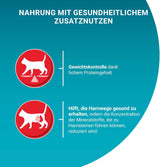PURINA ONE STERILCAT Nassfutter für Katzen, zarte Stücke in Soße für sterilisierte Katzen, mit Lachs, 26er Pack (26 x 85g)