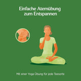 Yogi Tea – Tulsi Serenity Bio-Ayurvedischer Kräutertee, koffeinfreie Tulsi-Mischung aus der Natur, „Heiliges“ Basilikum, Lakritze und Orange, Yogi-Tee, 3er-Pack, 3 x 17 Teebeutel (51 Teebeutel)