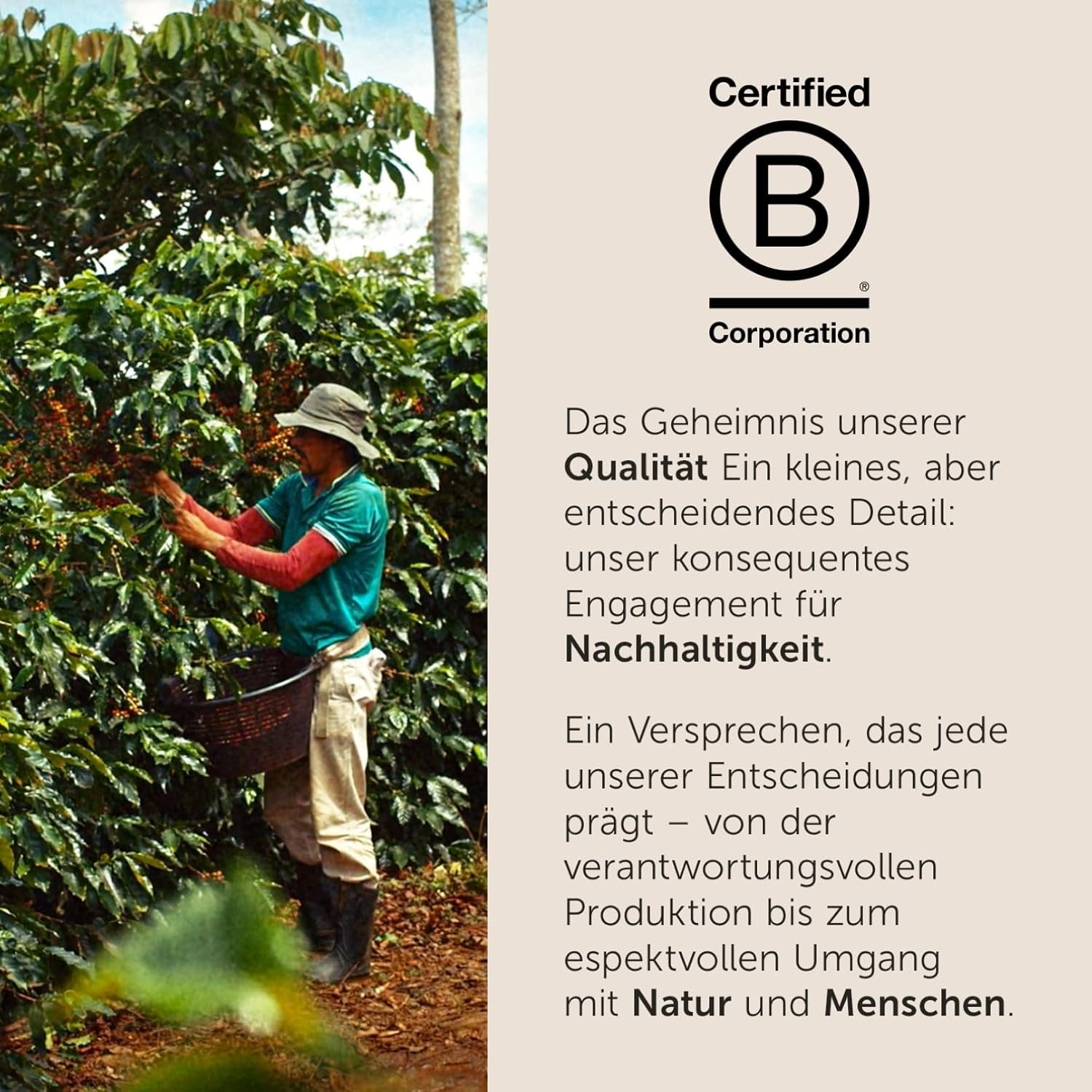 illy, Kaffeebohnen Arabica Selection Costa Rica, 100% Arabica mit Karamell-, Schokoladen- und Vanillenoten, süßer Gesmack, 1 Dose mit 250g