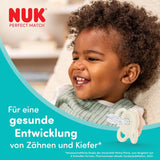 NUK Perfect Match Luftschnuller für Babys | 0-6 Monate | Kieferorthopädische Schnuller, die die Luftzirkulation fördern und das Sabbern verhindern | 95 % Akzeptanz bei Babys** | Fuchs/Teddybär | 2 Stück