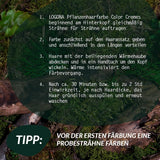 LOGONA Naturkosmetik Pflanzenhaarfarbe Creme 240 Nougatbraun, Naturfarbe für braunes Haar mit Henna, Färbecreme für Brauntöne, Coloration für dunkles Haar, 150ml Haarfarbe Naty Shop