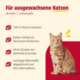 Animonda Carny Nassfutter für Katzen Truthahn + Huhn + Garnelen (6 x 800 g), getreidefreies, zuckerfreies Nassfutter mit frischen Fleischzutaten