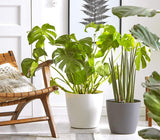 Dehner Mila Blumentopf mit Selbstbewässerungssystem, Ø 30 cm, Höhe 26 cm, Kunststoff, weiß
